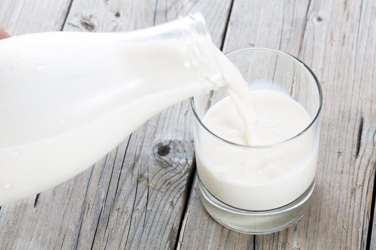 Milch & Pflanzendrinks