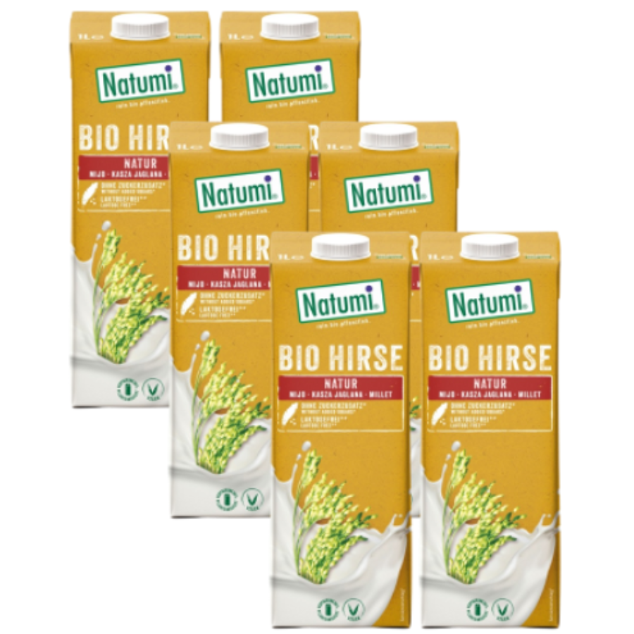 Bio Hirsedrink Natur, Karton 6 Stk.