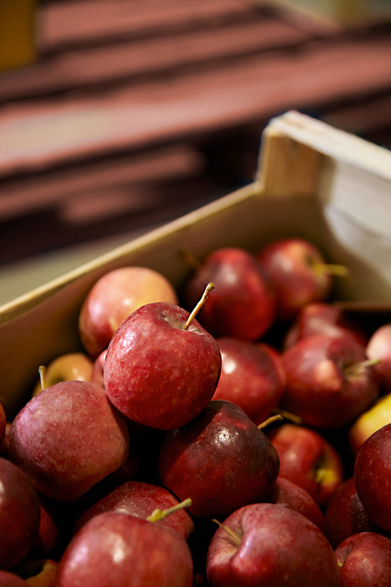 Nouveautés fruits bio