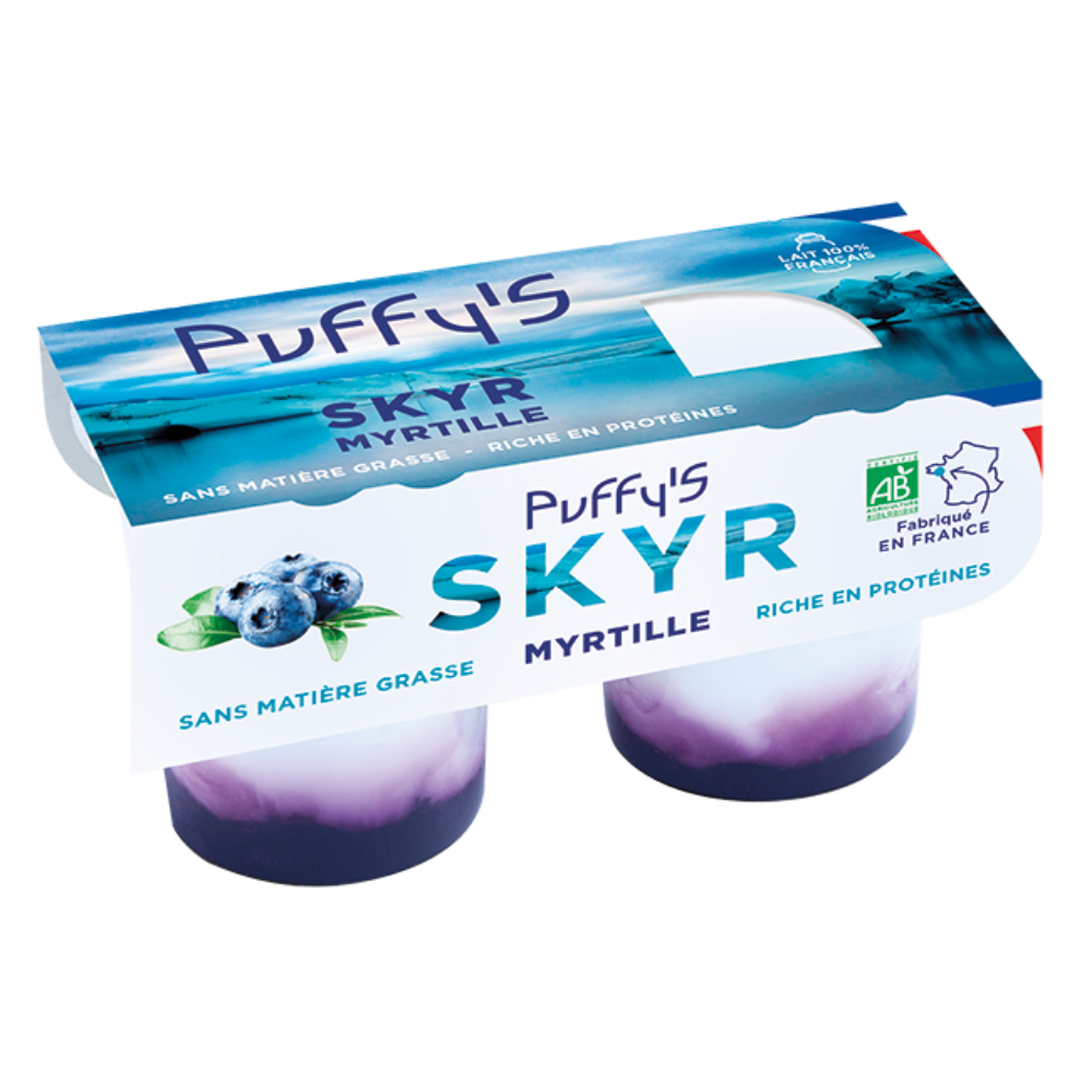 Skyr myrtille bio