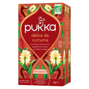 Infusion Délice de Curcuma Bio x 20