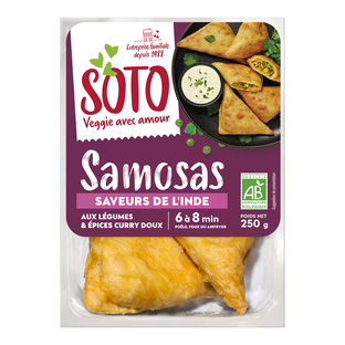 Samosas bio x4