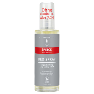 Deo Spray Men Active