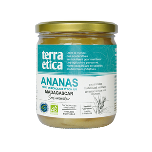 Ananas morceaux équitable et bio