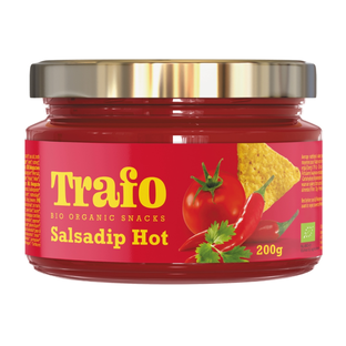 Bio Salsa Dip scharf