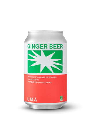 Ginger beer bio