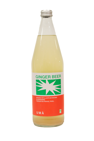 Ginger beer bio