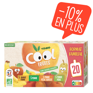 Gourdes multiparfums format familial 4 recettes (pomme/poire/abricot/banane) Bio