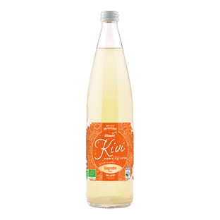 Boisson aux grains de kéfir de fruit gingembre bio