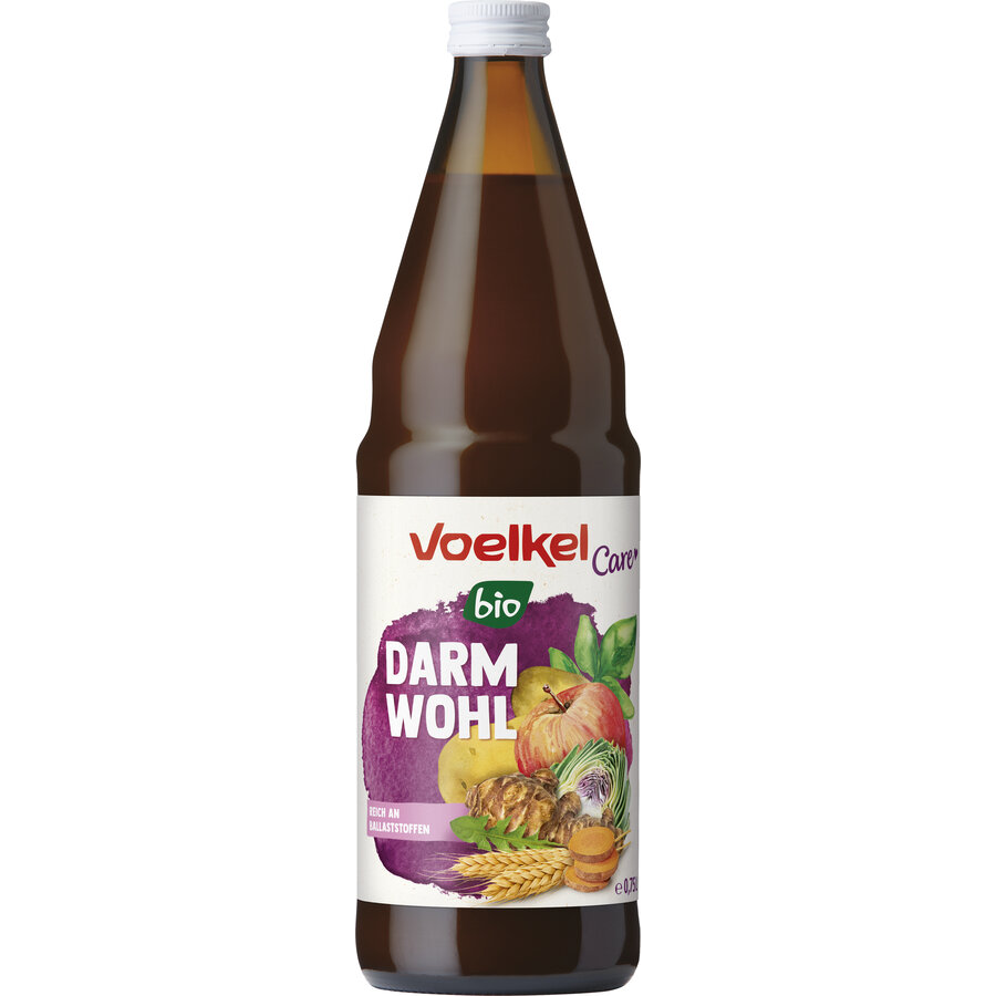 Bio Darmwohl Saft