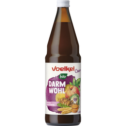 Bio Darmwohl Saft