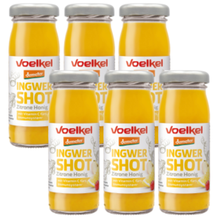 Bio Ingwershot Zitrone-Honig, demeter, Karton 8 Stk.