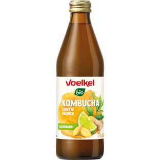 Bio Kombucha Limette Ingwer