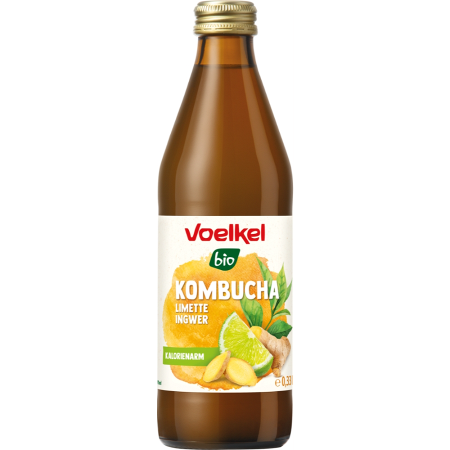 Bio Kombucha Limette Ingwer