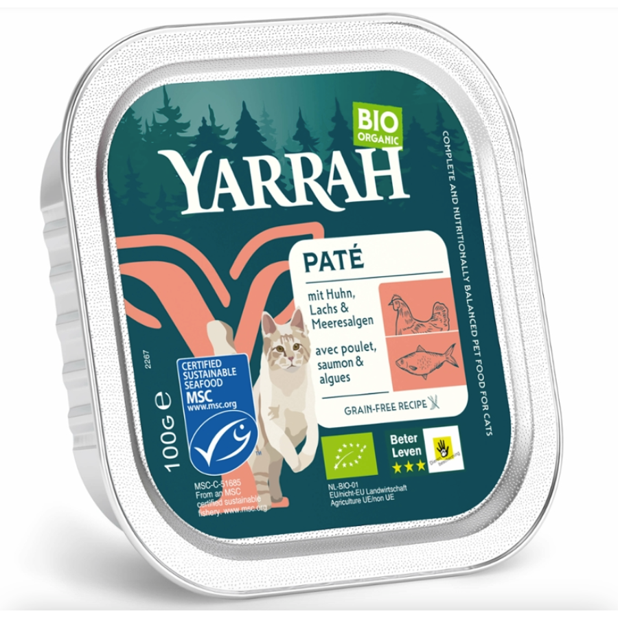 Bio Katzenfutter Pastete Lachs