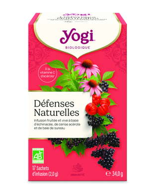 Infusion Défenses Naturelles - vitamine C bio x 17
