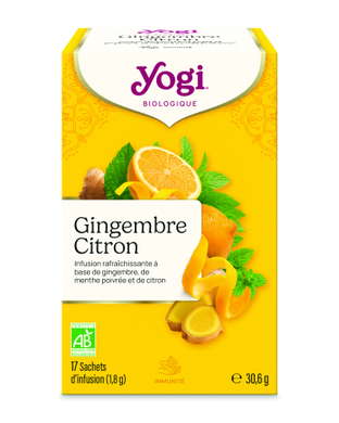 Infusion Gingembre Citron bio x 17