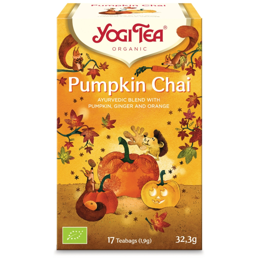 Bio Tee Pumpkin Chai, Beutel