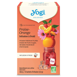 Infusion à froid fraise orange bio x 15