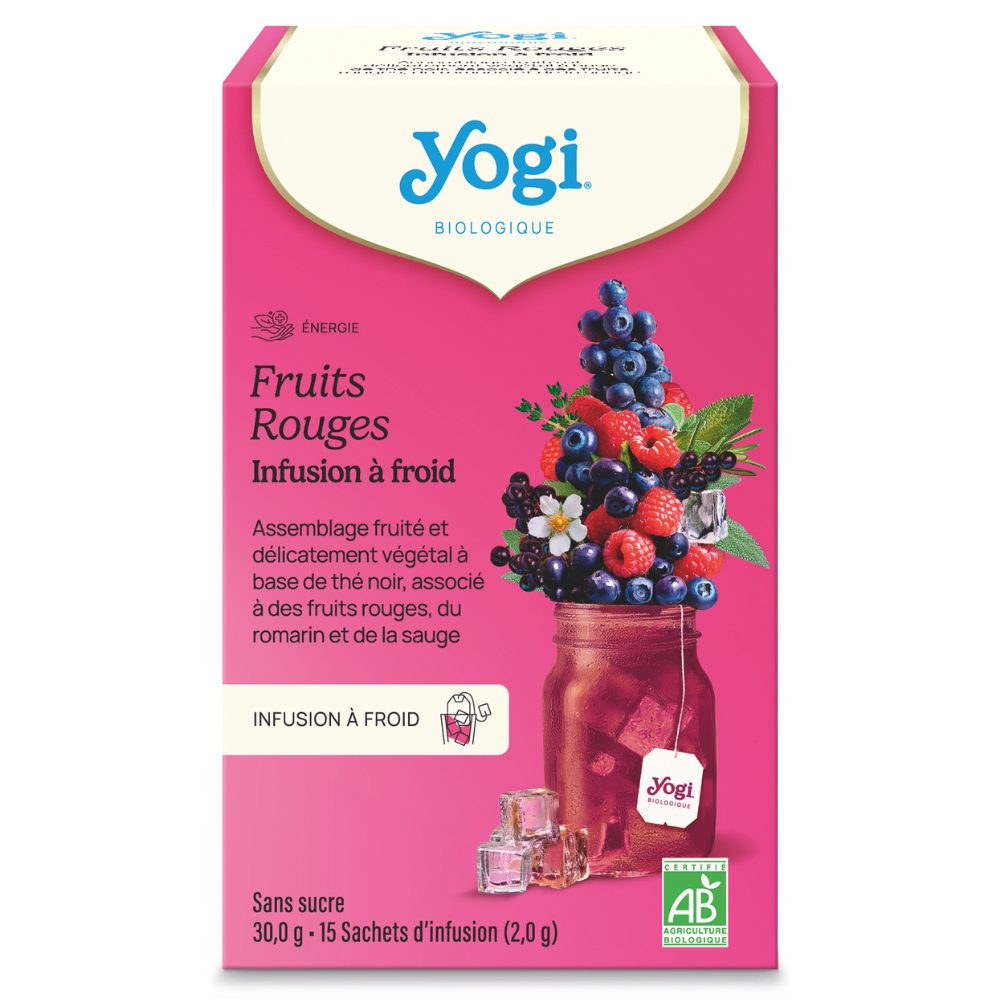 Infusion à froid fruits rouges bio x 15