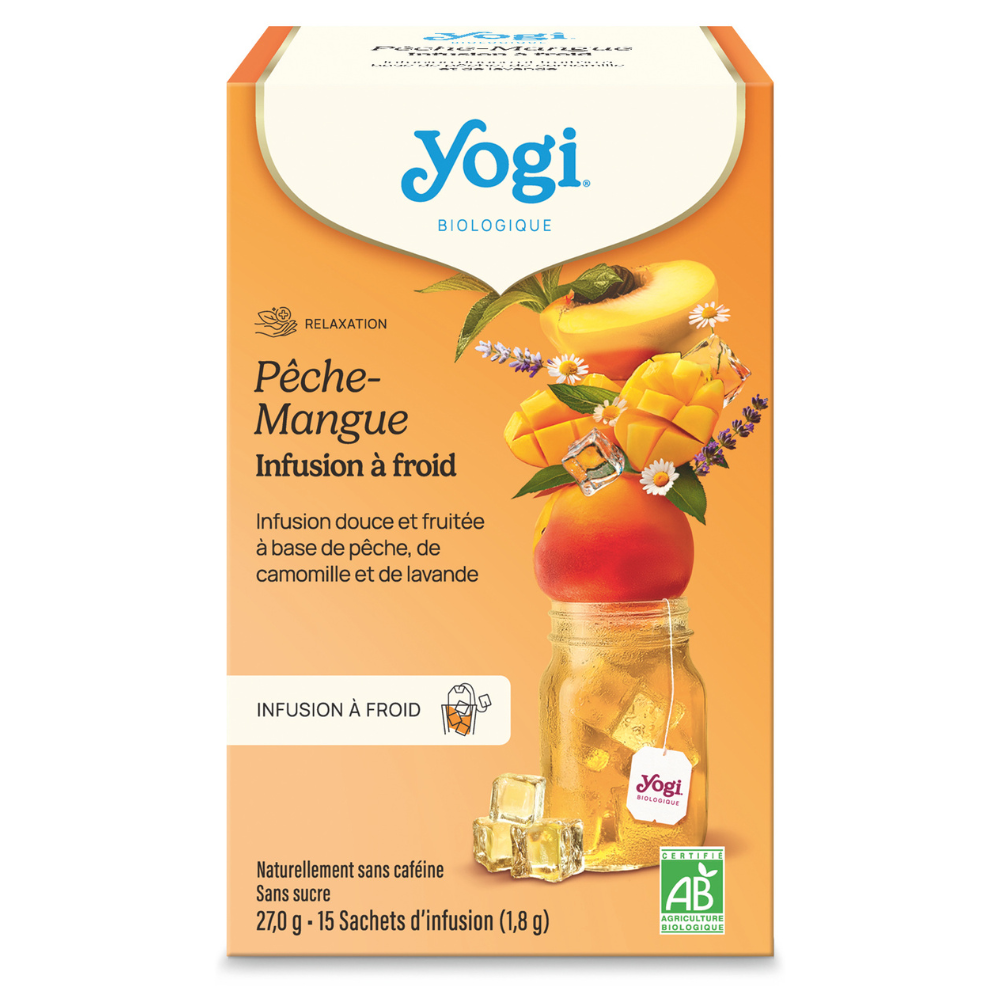 Infusion à froid pêche mangue bio x 15