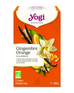 Infusion Gingembre Orange vanille bio x 17